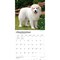 BrownTrout; Great Pyrenees | 2027 12 x 24 Inch (Hanging) Monthly Square Wall Calendar | Plastic-Free; Category:Wall Calendars; Image:5